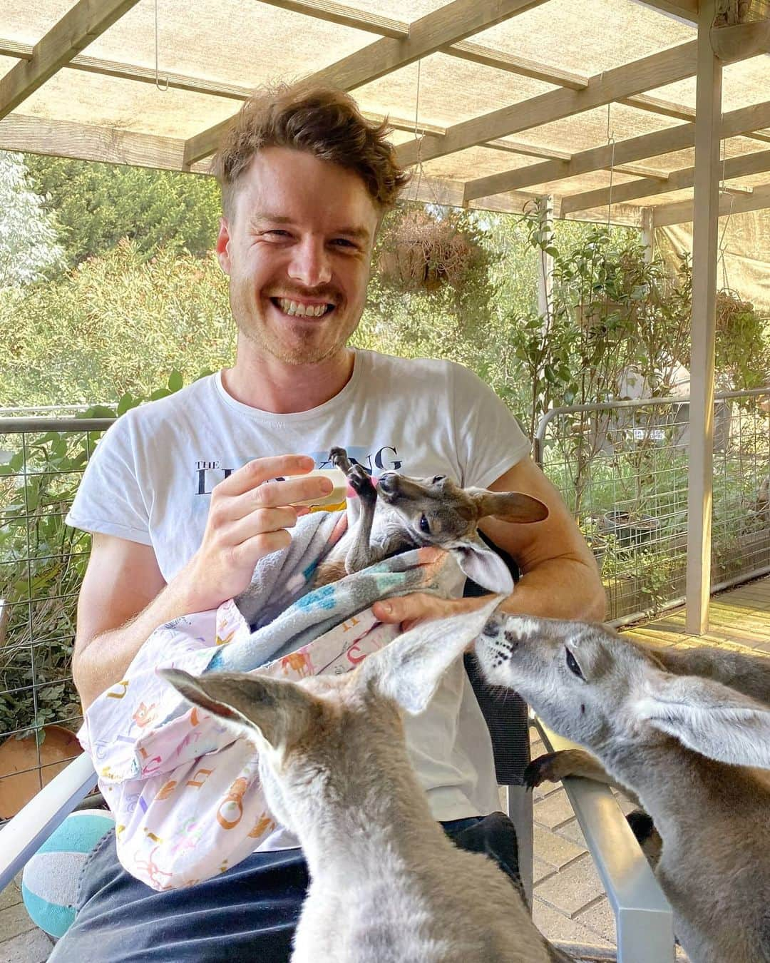 アラン・ディクソンさんのインスタグラム写真 - (アラン・ディクソンInstagram)「Meet wildlife carer Ann who has given 30 years of her life to rescuing wild animals. 🤩Watch her reaction to our $700 cash donation.🤩 She founded and runs a small grassroots organization called Native Animal Network of South Australia in the Adelaide Hills. A neglected org that didn't receive any funds during the fire crisis so we have her a little boost to help.⁣ ⁣ She specialises in caring for orphaned kangaroos that require round the clock commitment. She's a genuine person that does it all for the love of wildlife.⁣ ⁣ We met her before all this social distancing became a thing. if you ever make it to the Adelaide Hills and Google 'Native Animal Network of South Australia' to give her a visit.⁣ ⁣ The first photo is of an Albino baby kangaroo. Unfortunately they think she is blind and deaf, but for now and is giving her the best life possible.⁣ ⁣ 🐾☺️⁣⁣ #bushfireaustralia #australianbushfires #australiabushfire #austrlianbushfire #bushfire #bushfireseason #nswfires #nswbushfires #sydney #perth #melbourne #goldcoast #animalrescue #kangaroos #koala #quokka #wallabees #brisbane #darwin #australiafires #victoria #melbourne #adelaide #australia #queensland #climatechange #joey #bushfiresa⁣ ⁣」3月24日 21時55分 - daxon