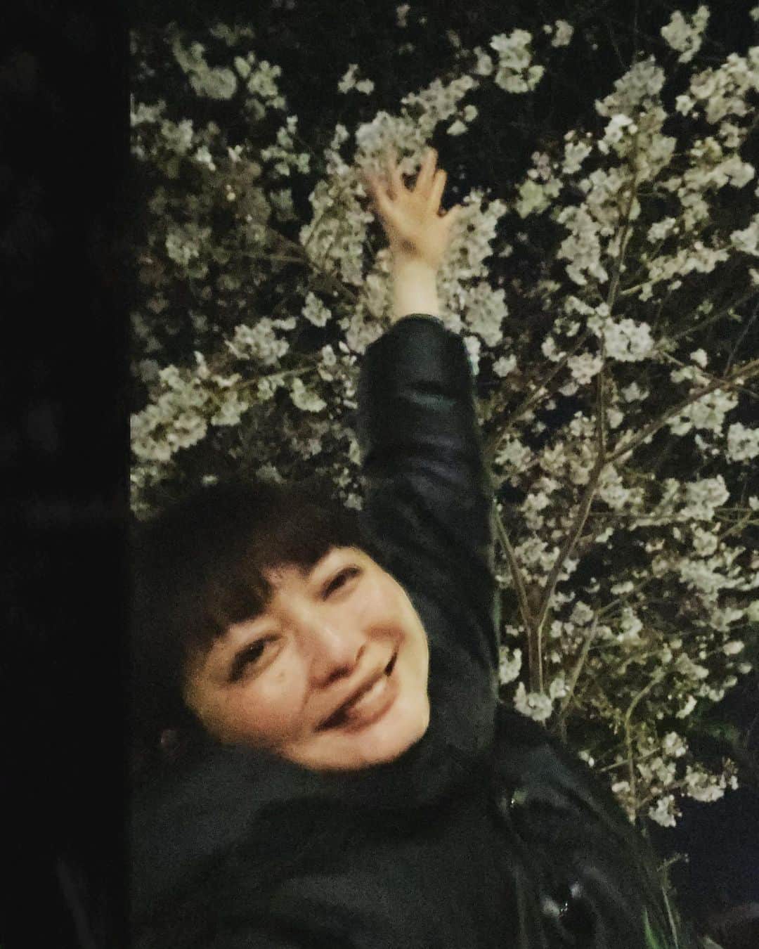 野本かりあのインスタグラム：「桜は素晴らしいのだ🌸」