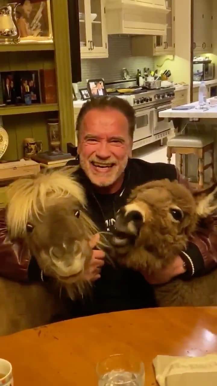 Animalsのインスタグラム：「Stay at home as much as possible. Listen to the experts! We will get through this together 🙏 @schwarzenegger」
