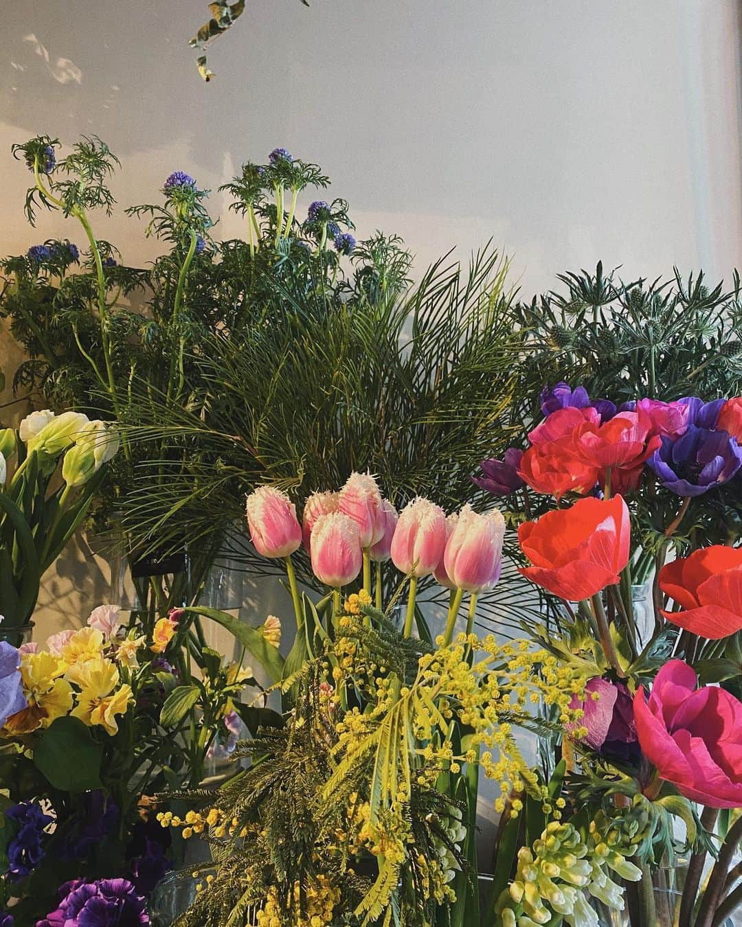 松本瞳のインスタグラム：「. 🌷🌷🌷 いまは そうゆうとき〜。」