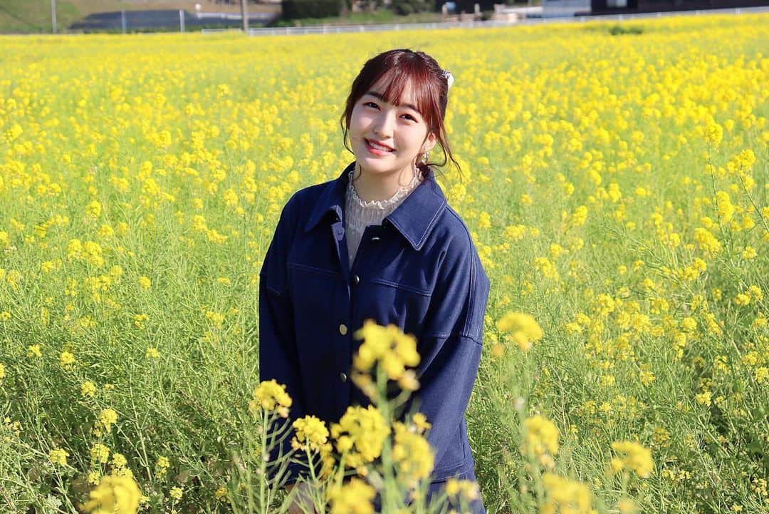 田島芽瑠さんのインスタグラム写真 - (田島芽瑠Instagram)「「菜の花畑」﻿ ﻿ 古賀市筵内にある菜の花畑と📸 思ってたよりも広大でめちゃくちゃ綺麗で最高でした🥺 菜の花って可愛いよね💕﻿ お花畑に行くと私って女の子なんだな〜って思う笑﻿ ﻿ 春といえば桜ですが、福岡はまだ全然咲いていないんです！（まだ一分咲きくらい？）﻿ だから春だーって思う事も少なかったのですが…。﻿ ミツバチが飛んでたり、鳥達が活発に動いてたり﻿ 菜の花に囲まれながら春の訪れを今日は感じました☺️﻿ ﻿ 私は花粉症だから、この時期は顔が浮腫んだり珍しく肌の治安が悪くなったりと調子が悪くなるから春は困る事も多いのだけど…。﻿ やっぱり春は可愛いから好きなのよね〜🌸﻿ イチゴ狩りとか桜や菜の花だったり風景や空気！春ってなんか女の子っぽい💕花粉症なかったら一番好きな季節なんだろうなって思います。﻿ ﻿ そういえば今日は久しぶりにポニーテールをしました！﻿ 自分で髪の毛したんだけど、ポニーテールって意外と難しいですよね🤔髪が伸びてきたから余計に😂﻿ インスタ見てると女の子ってみんなアレンジ上手いしメイク上手だし可愛すぎて悲しくなる笑笑﻿ ま、生きていければいいよね🙄﻿ ﻿ メンバーにも全然会ってないなー。みんなげんき？﻿ ﻿ 29日に久しぶりに公演で（無観客配信になりますが）今から楽しみです！このままだとアイドルなこと忘れそうです！冗談です笑笑  #筵内の菜の花畑 #古賀市 #菜の花 #菜の花畑 #春 #春カラー #春コーデ #春服 #春の花 #春の訪れ #rapeblossoms #福岡 #福岡観光 #福岡旅行 #fukuoka #fukuoka_camera #canon_photos #kissカメラ #一眼レフ #カメラ女子 #フィルター越しの私の世界 #筵内」3月24日 22時26分 - meru_chan_official