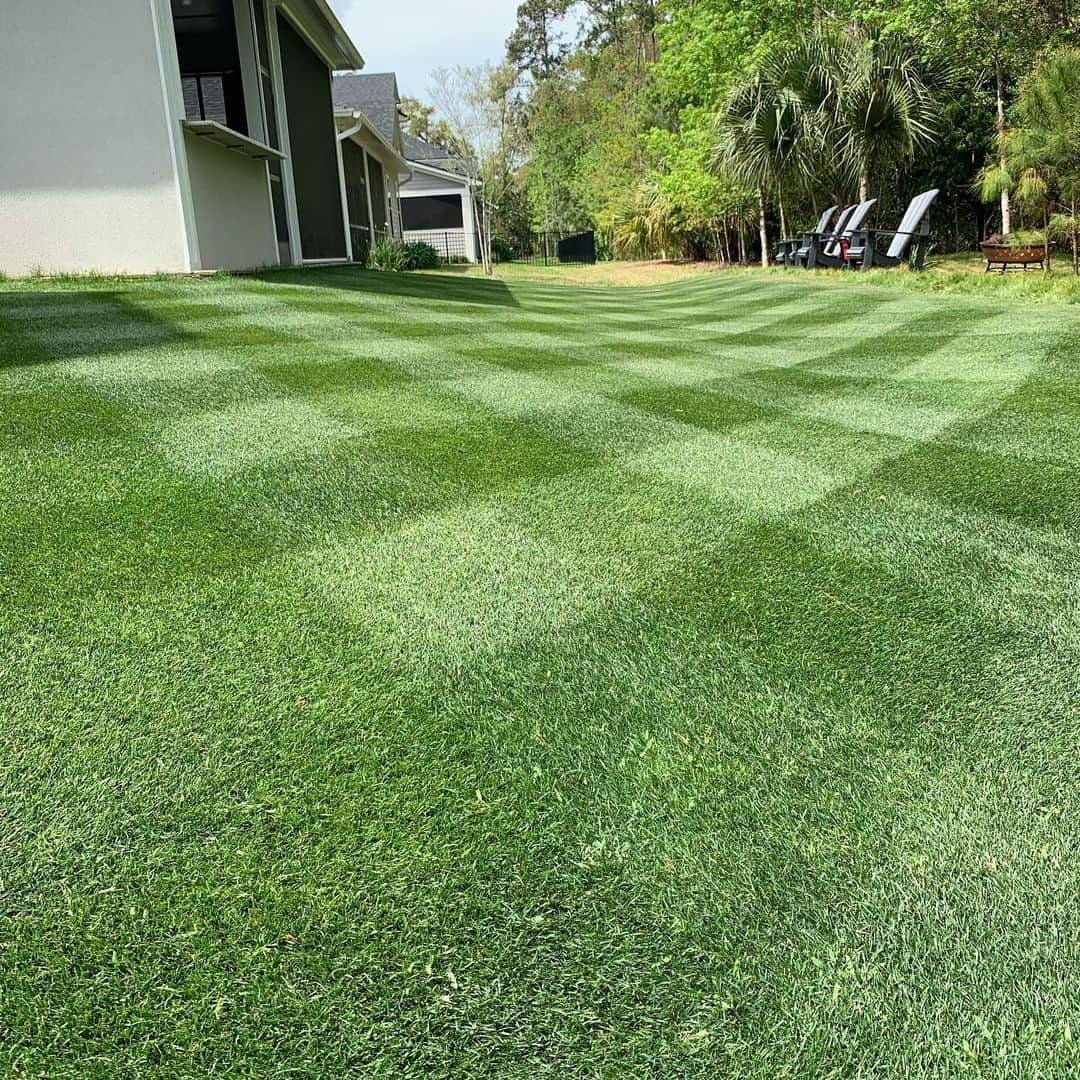 キャメロン・スミスのインスタグラム：「A week and a half of isolation, looking good. Stay safe everyone, if anyone’s bored, Look after your lawn, takes a bunch of time and gets your mind off things for a while!」