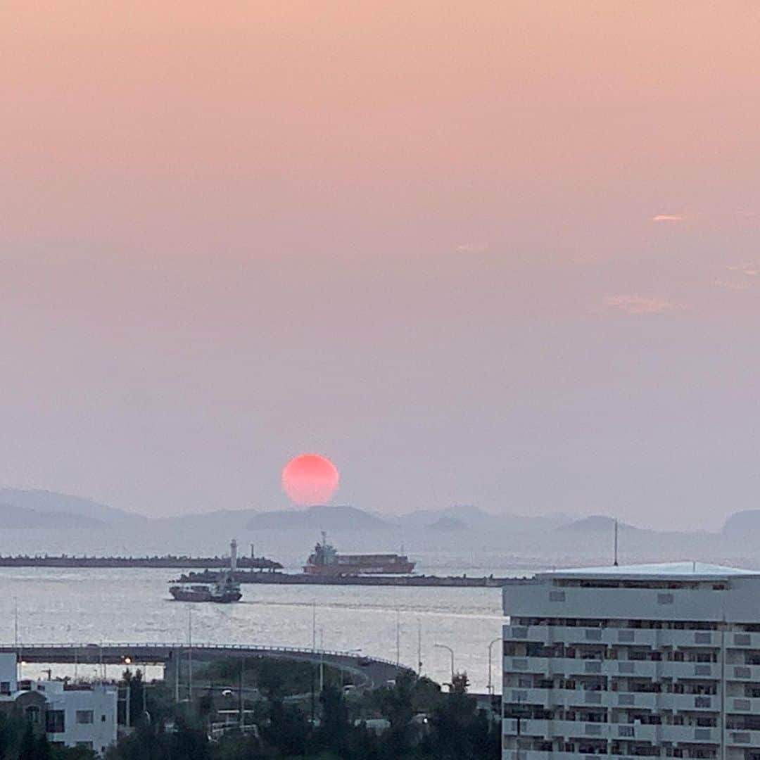 宮城麻里子のグルメインスタ