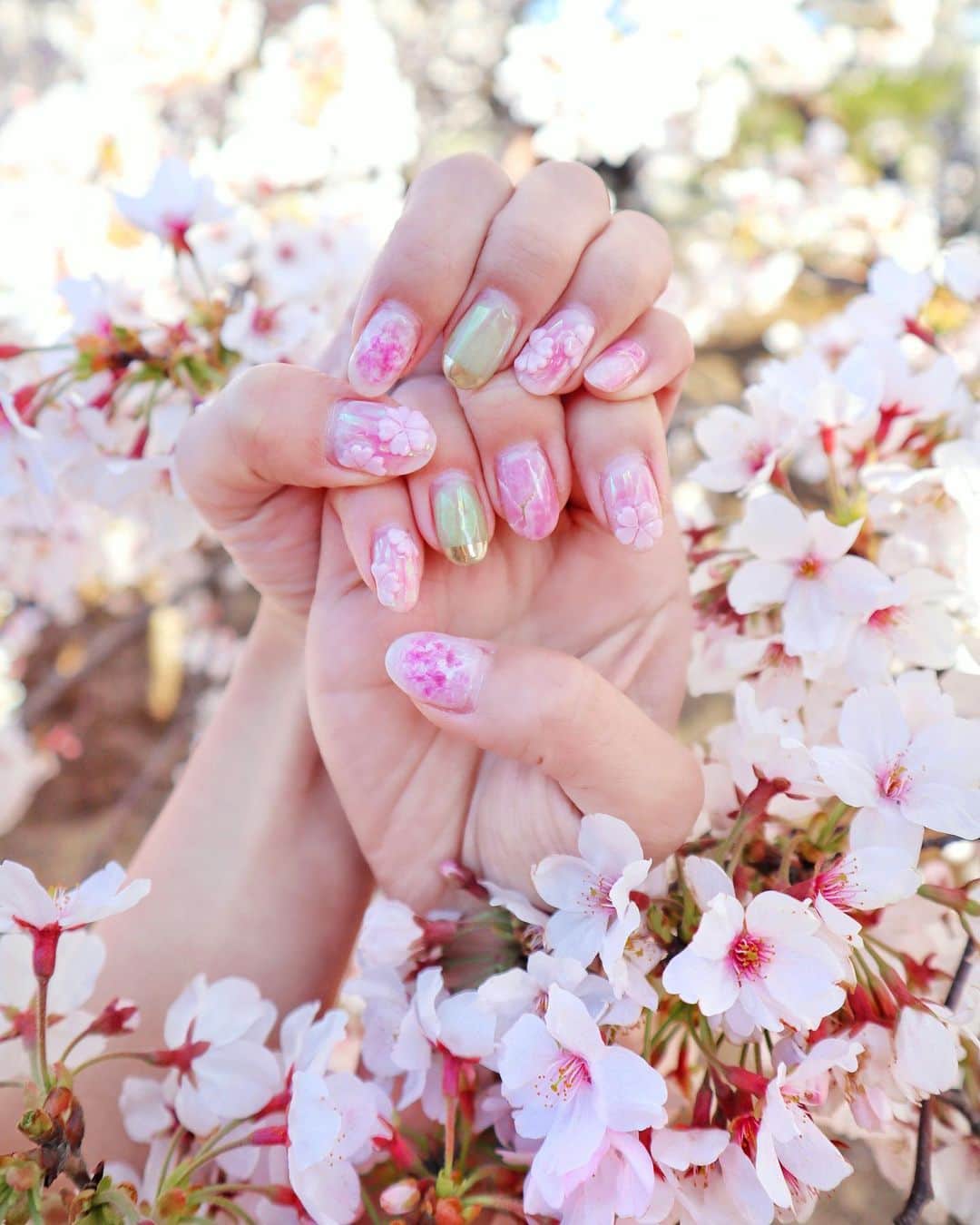 小沼瑞季さんのインスタグラム写真 - (小沼瑞季Instagram)「💅🌸﻿ ﻿ 今回は初めての桜ネイルに🥰💅﻿ ﻿ 3Dのハート型桜をのせて﻿ さくらの花びらみたいなアートと﻿ グリーンと大理石を混ぜて﻿ 和すぎないおしゃれ桜ネイルに🌸﻿ ﻿ とってもお気に入りです♡﻿ ﻿ 前回のネイル載せるタイミングを失ってしまって﻿ ２枚目にupしたよ〜💅✨﻿ 3Dリボン🎀が可愛すぎるっ😱💖﻿ ﻿ @naaaaa_ho.nail さん﻿ アートの神です💅💕 ﻿ ﻿ ﻿ #みいきねいる💅 ﻿ #桜ネイル#さくらネイル#3dネイル#桜#春ネイル#ピンクネイル#大理石ネイル#リボンネイル#パールネイル」3月24日 22時56分 - mizukikonuma