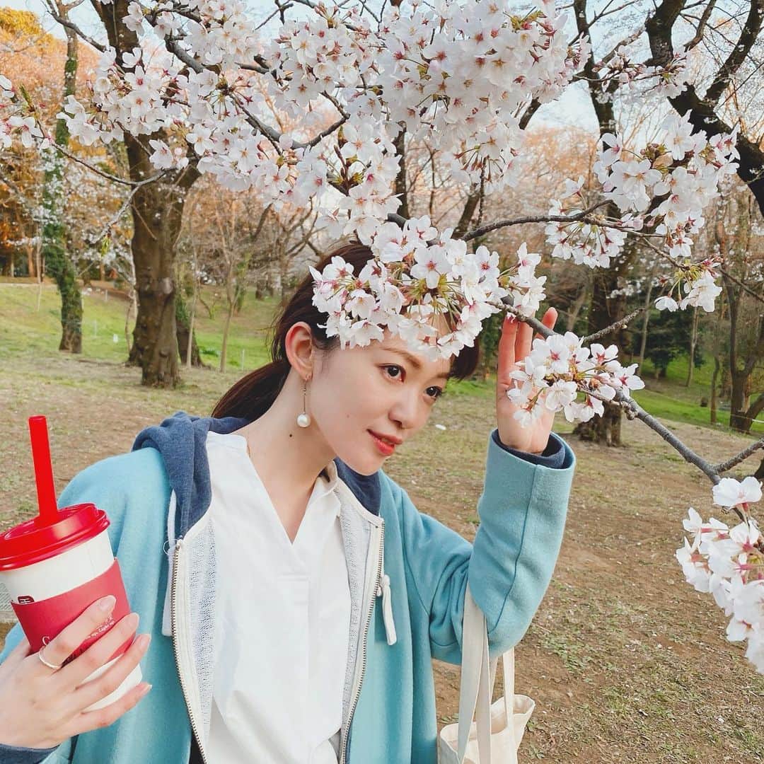 小林美季さんのインスタグラム写真 - (小林美季Instagram)「短時間🌸お花見  とにかく 風が強かった🌳。 #桜 #お花見 #控えめに #お散歩 #ぶらりお花見 #🌸 #spring #cherryblossom  #美季 #miki #model #綺麗 #japan #sakura」3月24日 23時07分 - miki_66v
