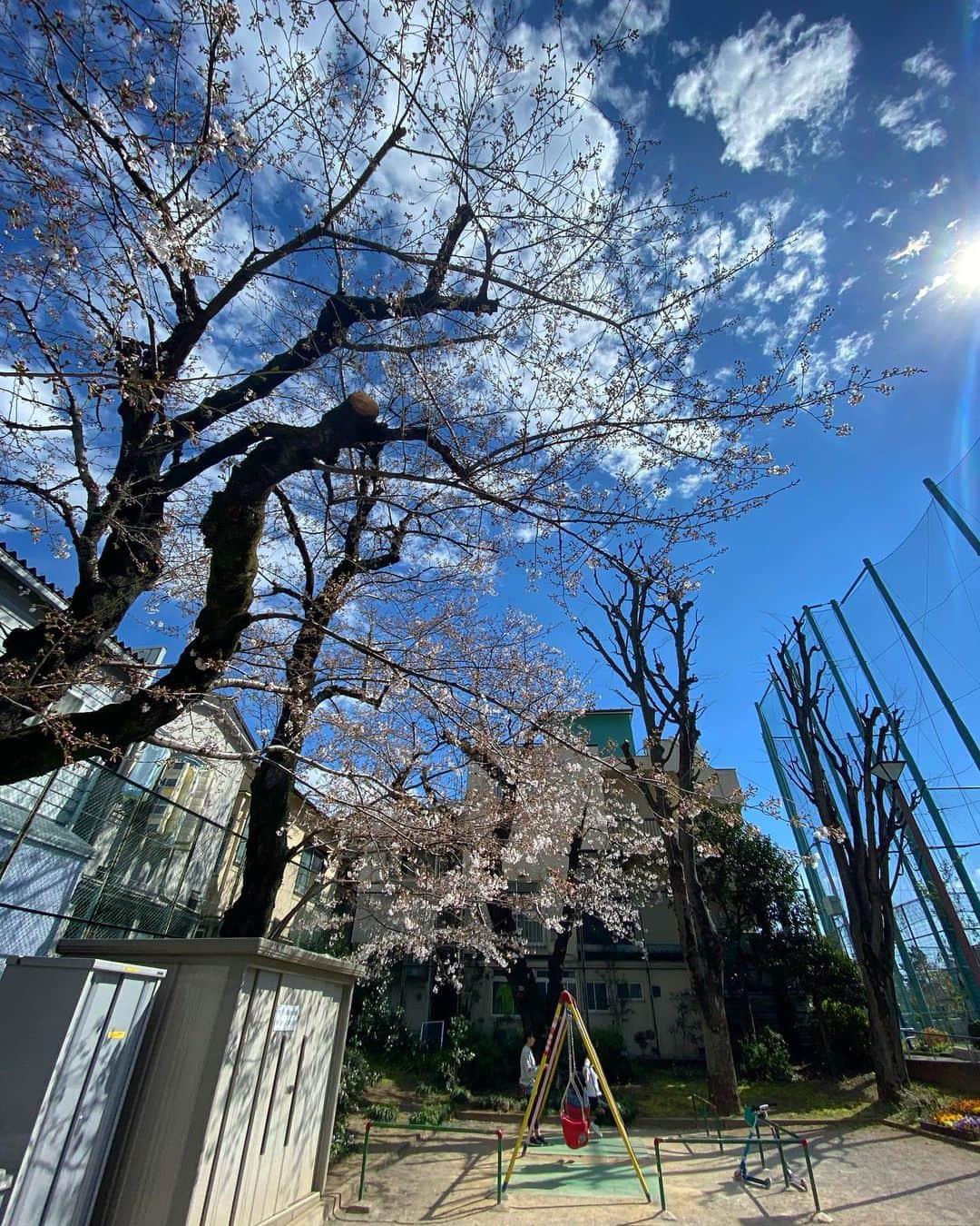 宍戸開さんのインスタグラム写真 - (宍戸開Instagram)「#streetphotography #storyofthestreet #streetscenesmag #streetoftokyo #streetcinematography #streetoftones #streetofblue #cherryblossom #spring」3月24日 23時20分 - kaishishido