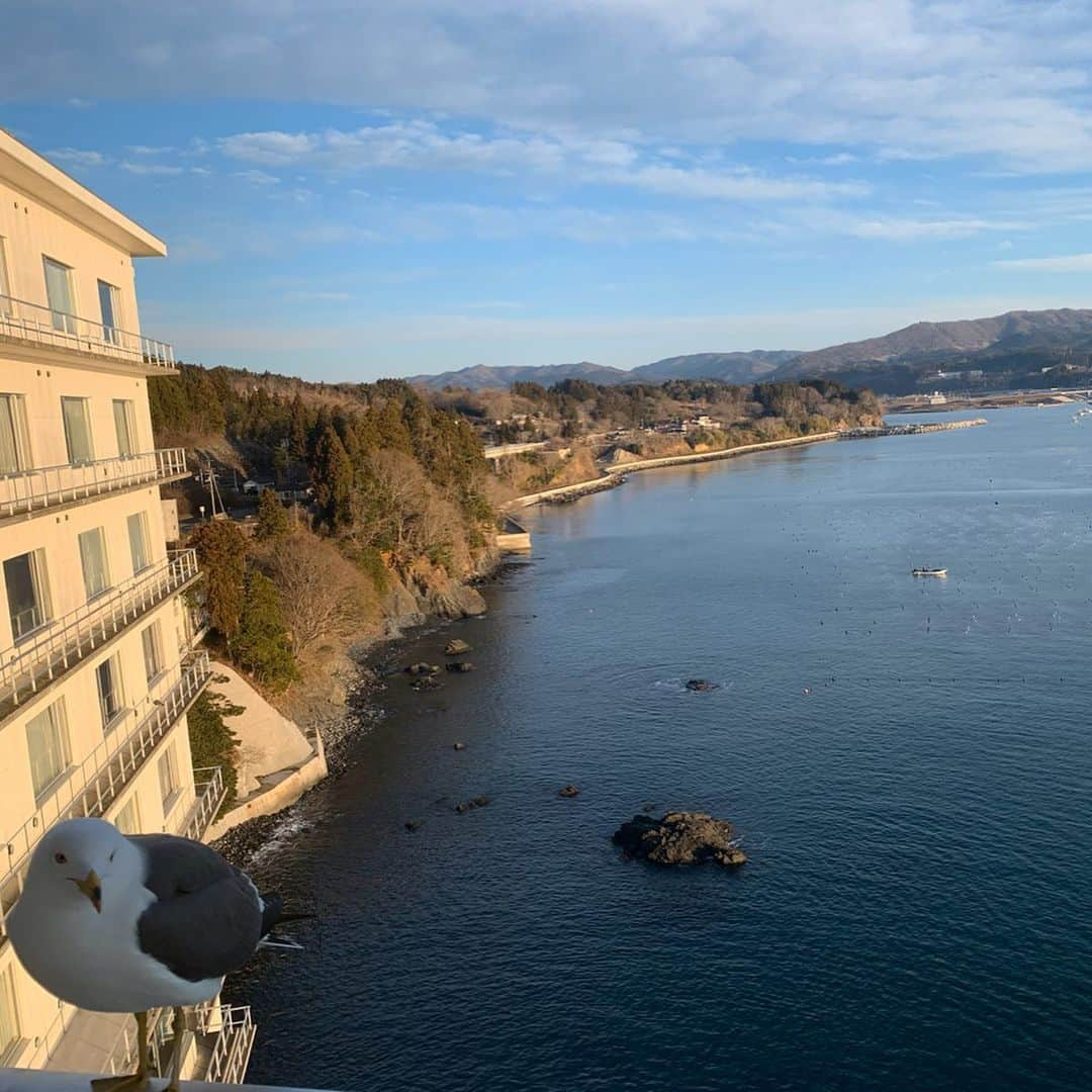 大橋未歩さんのインスタグラム写真 - (大橋未歩Instagram)「こないだ宮城県南三陸町に行った。 肉厚なのにふわふわと柔らかい鮑。 あさりがふんだんすぎるクラムチャウダー。 新鮮なワカメのしゃぶしゃぶ。 穏やかな海。 水平線に沈む夕陽。 ミャアミャア鳴く海猫。  そして、被災地をまわる語り部バス。 数字で見聞きしていた20mの津波の 想像を絶する高さを 震災遺構を見て実感する。  町ごと10mの高台移転はしたものの 南三陸町の人口減少は進む。  まだまだ復興は終わっていない。  東京オリパラは、元々復興五輪。  忘れないで生きていかねば。  コロナが落ち着いたら また東北旅行に行きたいな☺️ 魚介の美味しさは感動ものです☺️ #南三陸町ホテル観洋  #語り部バスは2011年から1日も休まず運行」3月24日 23時39分 - o_solemiho815