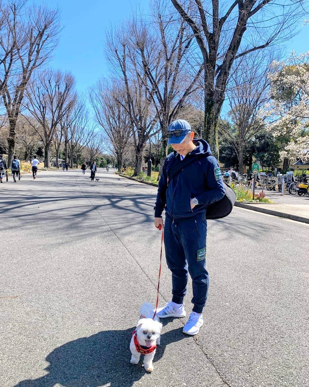 前園真聖さんのインスタグラム写真 - (前園真聖Instagram)「アンジェロのお散歩です☀😉 #アンジェロ #ミックス犬 #前園真聖」3月24日 23時55分 - maezono_masakiyo