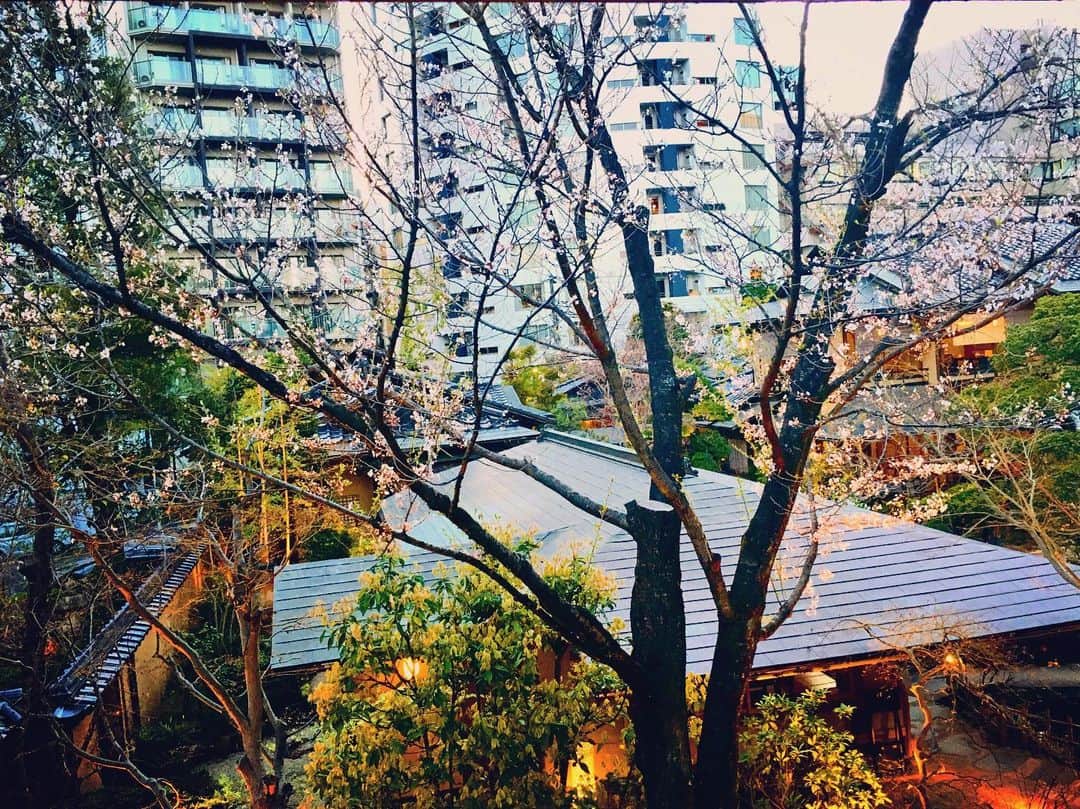 藤咲きく乃のグルメインスタ