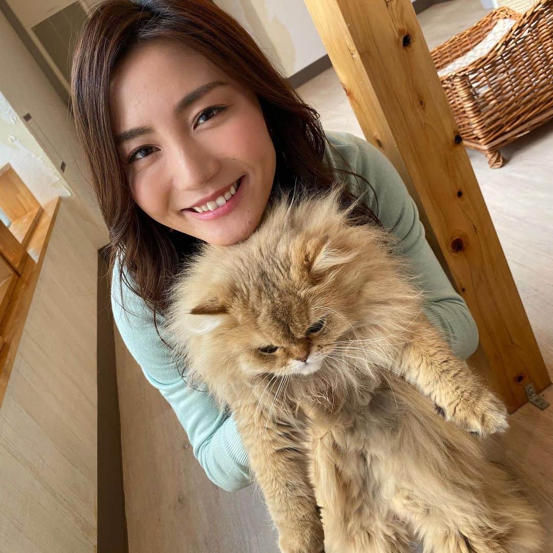 佐藤美央里のインスタグラム：「今日は収録でニャンコと戯れました❤️ はー可愛すぎる！！我が家のニャンコが嫉妬するかも😽 #猫カフェ #猫好き #癒しの時間」