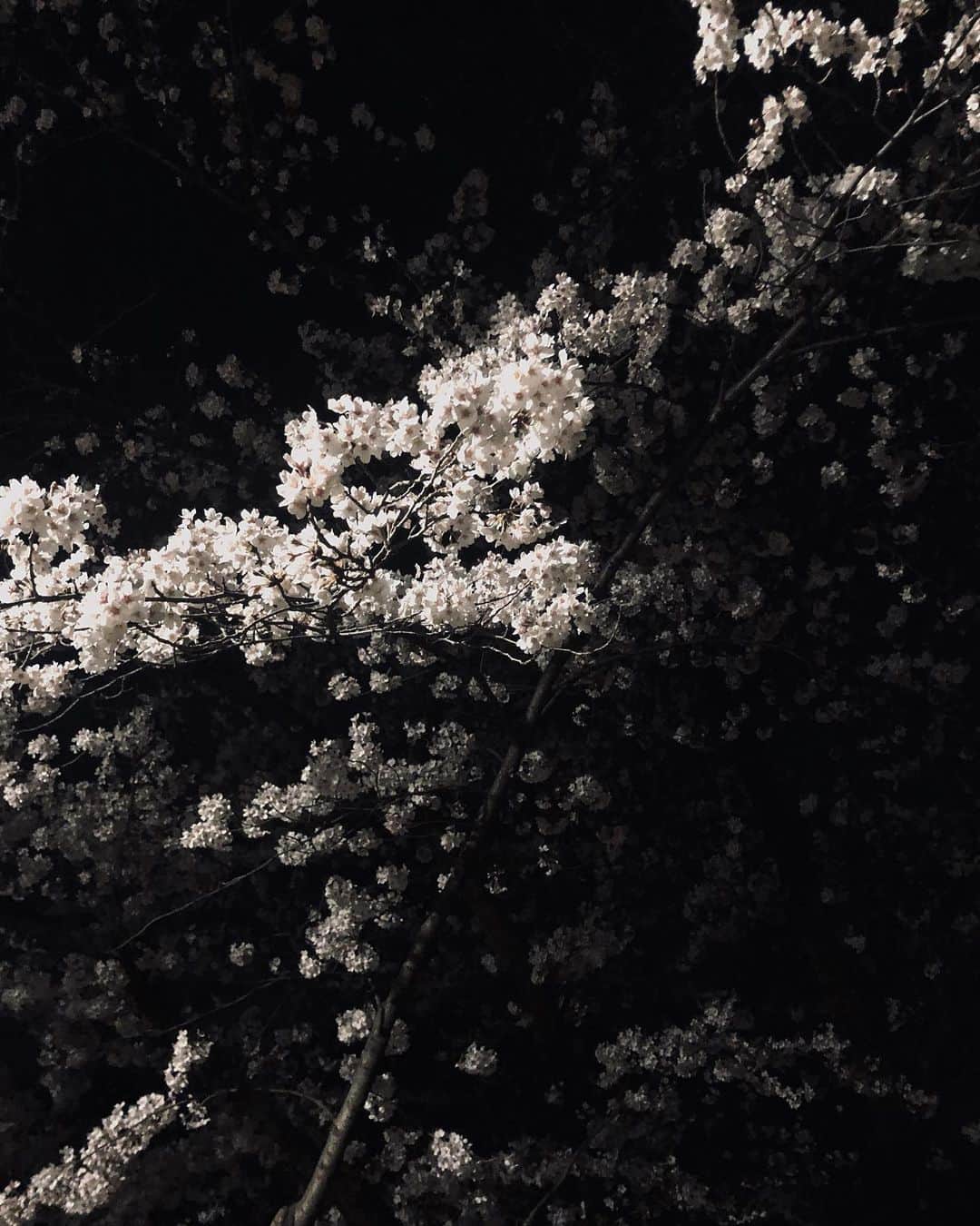 福島 理久さんのインスタグラム写真 - (福島 理久Instagram)「明るい未来の話」3月25日 0時10分 - sennoriq