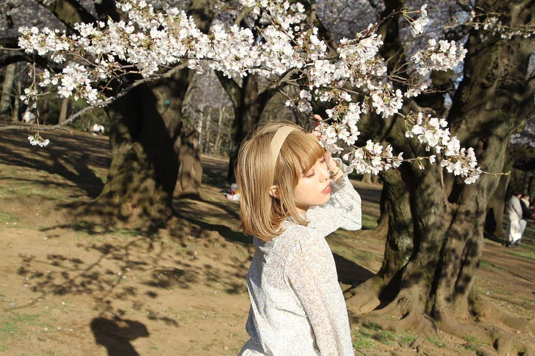 小林弥生のインスタグラム：「. 青空 眩しかった☀️💙 . #桜 #さくら #春 #春服  #ミルクティーベージュ #ミルクティーカラー  #ヘアカラー #ボブ #カチューシャ」