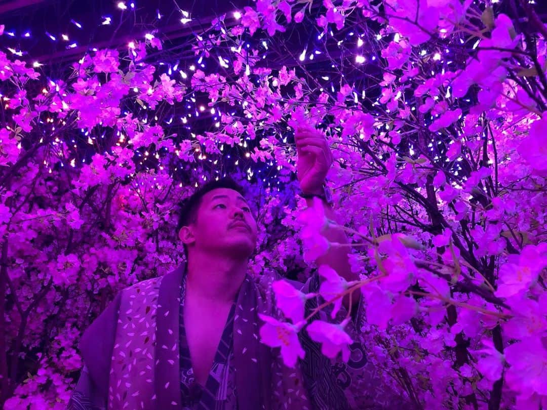 のインスタグラム：「①【桜と私】  ②【ほれほれ今年の桜の出来はどうかな？の人】  ③【袖に仕込んだ凶器で瞬殺してくる人】  ④【見つけたら結構いいアイテムくれる人】  #桜 #夜桜 #満開 #cherryblossom」