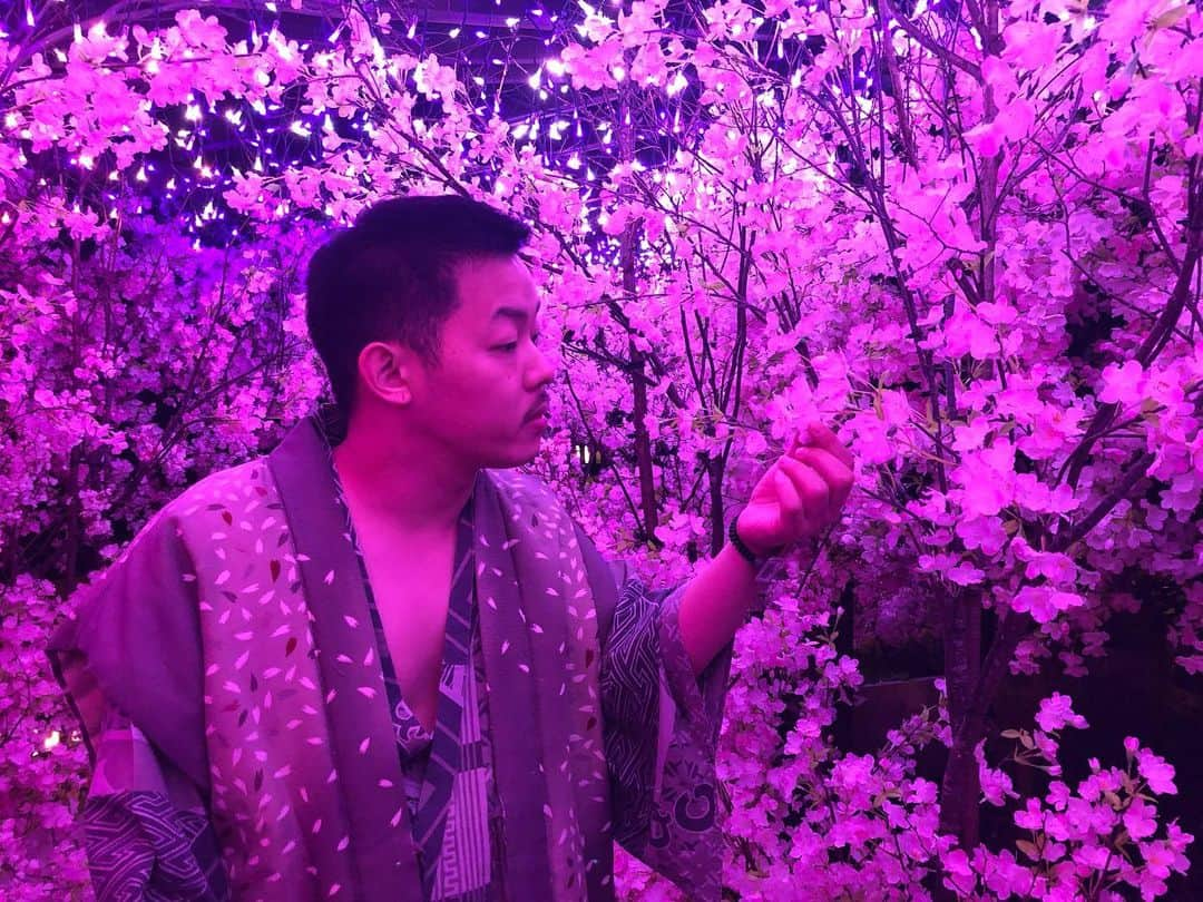 酒井尚さんのインスタグラム写真 - (酒井尚Instagram)「①【桜と私】  ②【ほれほれ今年の桜の出来はどうかな？の人】  ③【袖に仕込んだ凶器で瞬殺してくる人】  ④【見つけたら結構いいアイテムくれる人】  #桜 #夜桜 #満開 #cherryblossom」3月25日 10時59分 - sakai__takashi