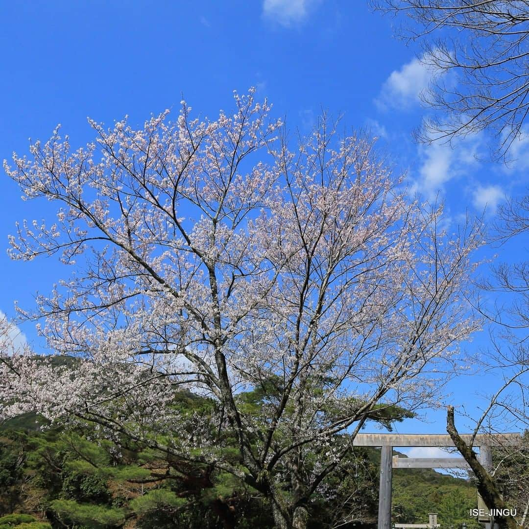 伊勢神宮のインスタグラム