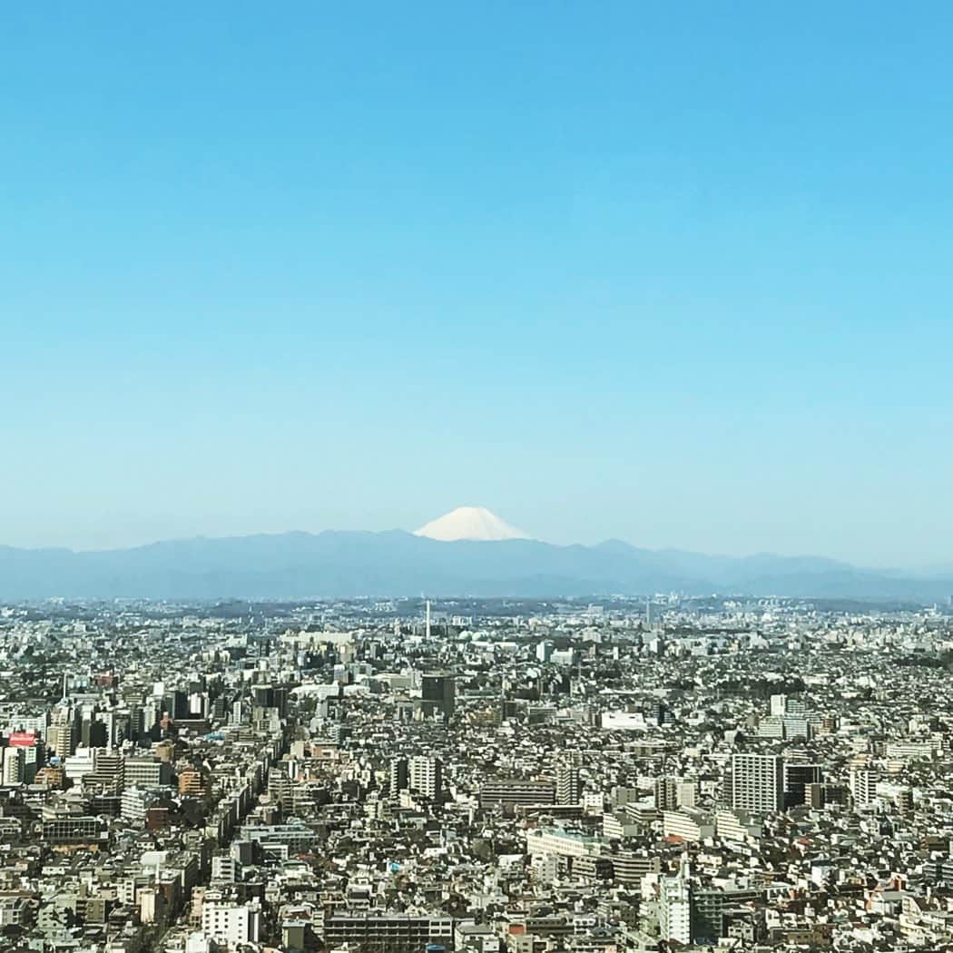 Park Hyatt Tokyo / パーク ハイアット東京さんのインスタグラム写真 - (Park Hyatt Tokyo / パーク ハイアット東京Instagram)「Hello from sunny Tokyo! The crystal clear blue sky serves as the perfect backdrop to Mt. Fuji as we're now in peak cherry blossom season. We hope the rest of your day is just as bright as this morning.  今朝の東京は空気も澄み渡り、桜月の青空に白銀の富士山が映えて。 全国的にも晴れの予報で、過ごしやすい陽気になりそうですね。どうぞ体調にお気をつけて健やかにお過ごしください。 . . #mtfuji  #clearbluesky  #cherryblossomseason #parkhyatttokyo  #peaklounge #luxuryispersonal  #富士山 #快晴  #パークハイアット東京 #ピークラウンジ」3月25日 11時18分 - parkhyatttokyo