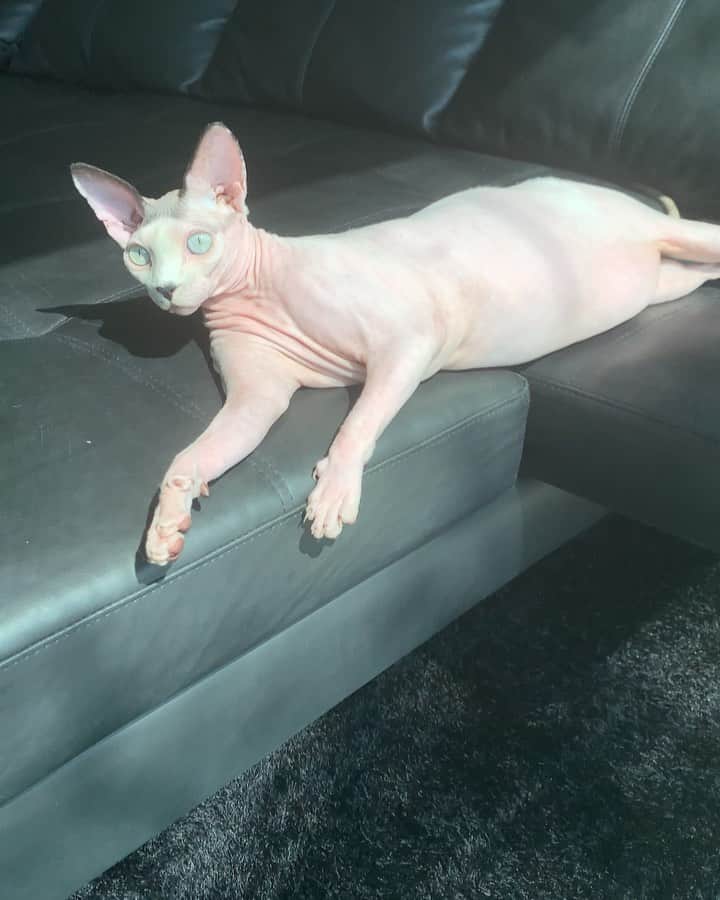 BamBam のインスタグラム：「Good Morning」