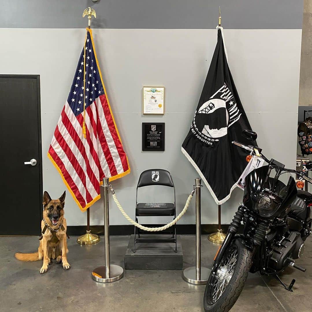 ロバート・パトリックさんのインスタグラム写真 - (ロバート・パトリックInstagram)「“Blitz” at the “Chair of Honor” dedicated to the POW/MIA from all Wars. We are the only Harley-Davidson Dealership on the West Coast to have a constant reminder of our POW/MIA. We are proud of all our Veteran Customers and families. #germanshepherd #dog #ride #harleydavidson #veterans #pow #mía」3月25日 5時47分 - ripfighter