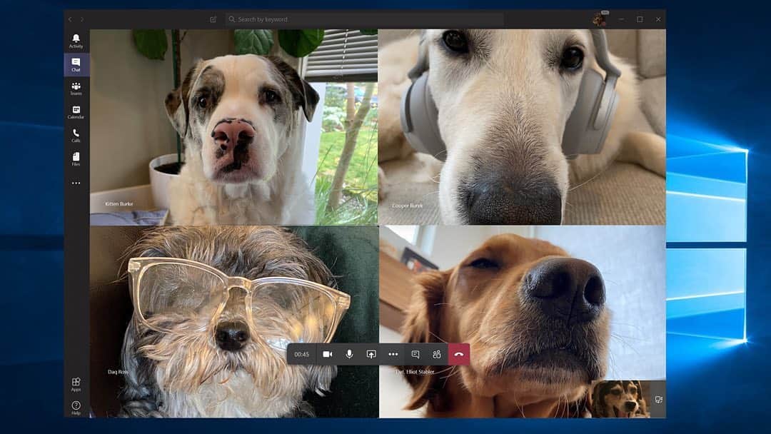 Microsoftさんのインスタグラム写真 - (MicrosoftInstagram)「If dogs could use #MicrosoftTeams ⬇️ . Kit: Okay, I'm calling this meeting of the Good Doggo Society to order. Cooper: Who's talking? How do I work this thing? Elliot: [rolls eyes] Three years old and still can't figure out Teams. Daq: ................... Kit: Let's focus, I've got a hard stop at 3. Daq: ................. Elliot: Is 'what's for dinner' on the agenda? Kit: Is no one prepared for this meeting? Daq?? Daq: Sorry, I was on mute. Kit: WOOF」3月25日 6時43分 - microsoft
