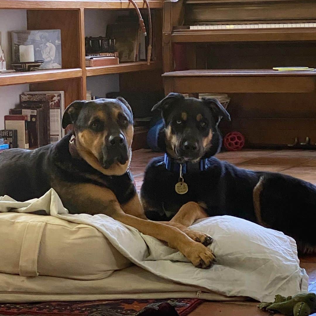 ブリアナ・エヴィガンのインスタグラム：「Charlie and max :) will always be Charlie and max.」