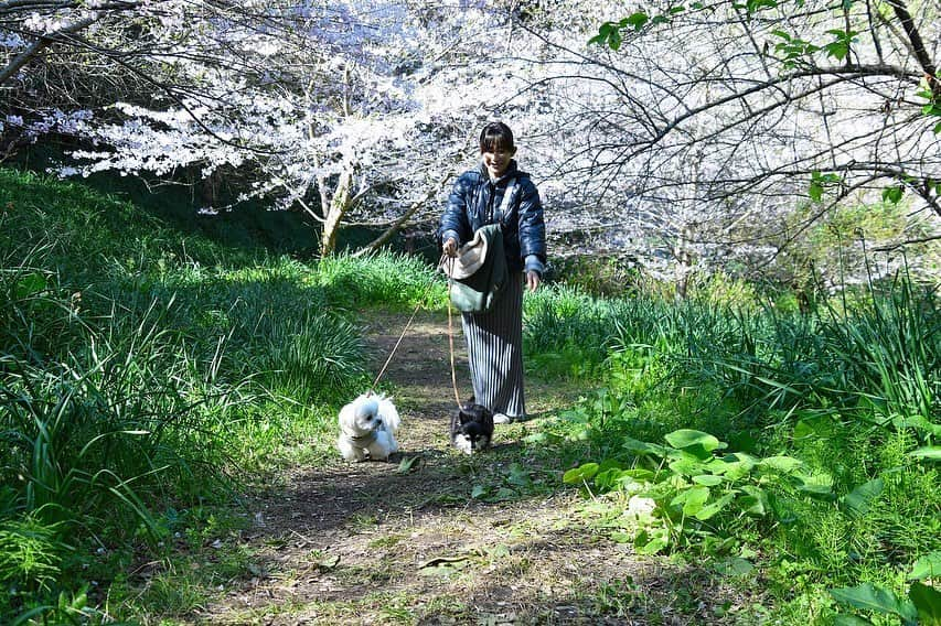 小野真弓のインスタグラム