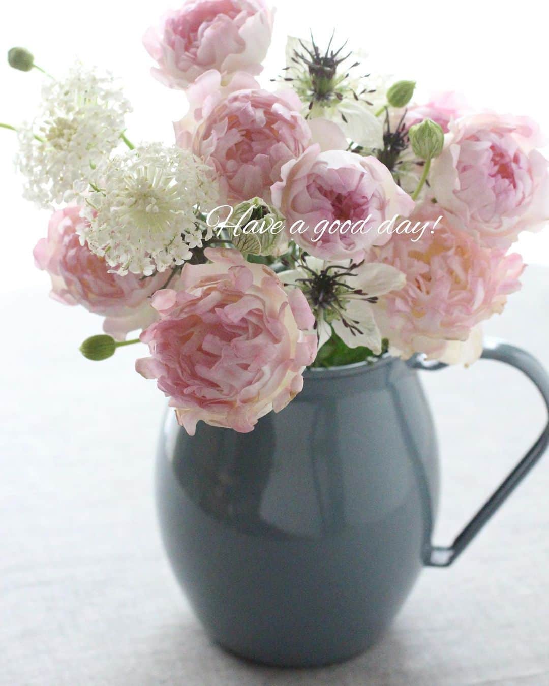 雑誌『花時間』さんのインスタグラム写真 - (雑誌『花時間』Instagram)「おはようございます。﻿ ﻿ 最近、水族館のクラゲが人気だそうですね。﻿ ﻿ では、イソギンチャクは？﻿ ﻿ このpicの中にもイソギンチャクがいますよ…。 ﻿ それは…ピンクの変わり咲きのバラ！﻿ ﻿ 英語でイソギンチャクを意味する「シーアネモネ」ってお名前なんです！﻿ ﻿ まさか…でしょ（笑）﻿ ﻿ 咲き始めは、コロン。開いてくると、1枚ずつの花びらがパズルのピース🧩みたいにも見えます。﻿ ﻿ イソギンチャク。あっ、もとい！シーアネモネさんをお見知り置きをー！﻿ ﻿ 花の大きなスプレータイプなので、１本あればボリューム満点に楽しめますよ。﻿ ﻿ では、本日も元気smile😊😊😊で頑張りましょう！今日はこれから、バラと球根花のアレンジ撮影です。by ピーターパン﻿ ﻿ #flowers #flowerslovers #flowerstagram #flowerarrangement  #花時間 #花時間2020 #花好き #花藝 #花好きな人と繋がりたい #花が好きな人と繋がりたい #花のある生活 #花のある暮らし #花を飾る #花を飾る生活  #バラが好き #ピンクのバラ #バラのある暮らし #花を飾る暮らし  #botanicallife  #バラを飾る  #花屋さんへ行こう」3月25日 9時46分 - hanajikan_magazine