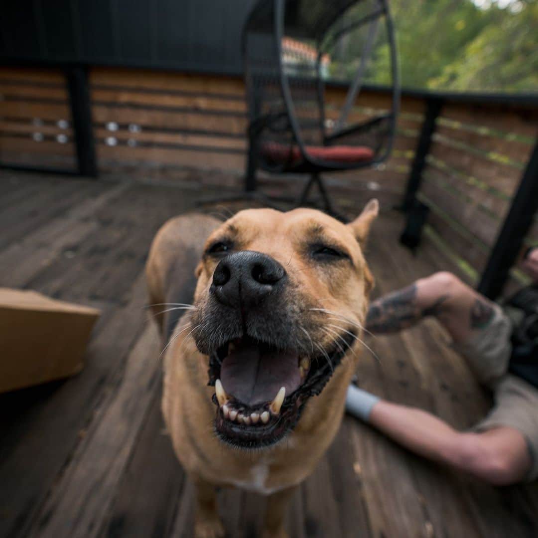 タイラー・ポジーのインスタグラム：「Roxy」