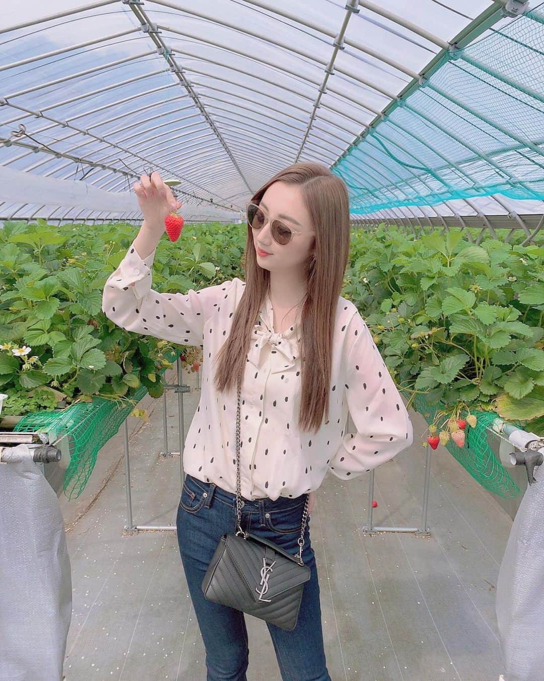 田代ひかりのグルメインスタ