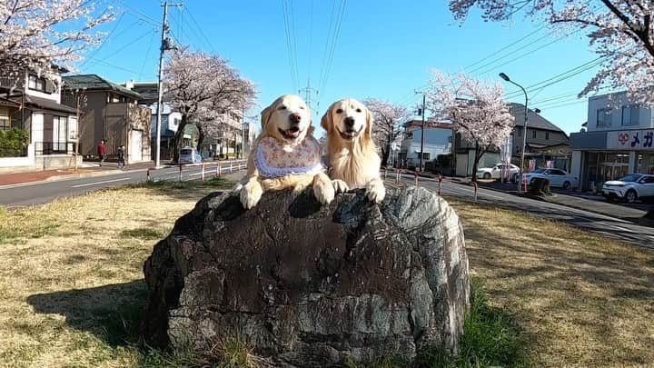 まゆみのインスタグラム