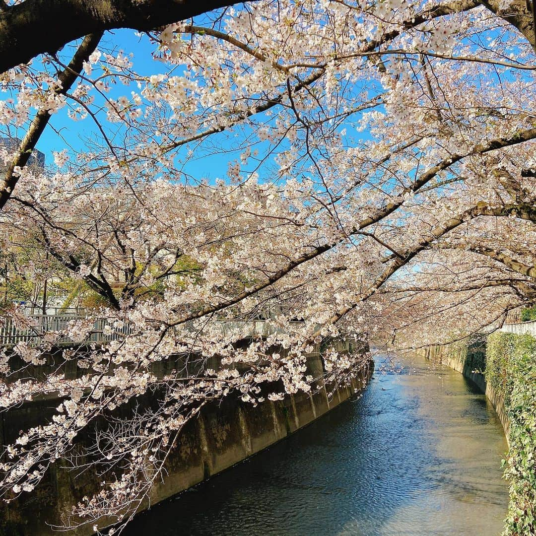 美神れおなのインスタグラム