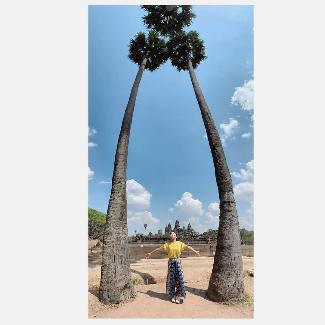 大桃美代子さんのインスタグラム写真 - (大桃美代子Instagram)「Here is a popular photo spot of Angkor Wat🇬🇧、 、  这是吴哥窟的热门照片景点🇨🇳、 、  여기가 앙코르 와트의 인기 사진 명소🇰🇷、 、  アンコールワットで人気の写真スポット。🇯🇵、 、  後ろに、アンコールワットが見えます。  ガイドさんおススメでした。  なぜ彼らがこれほど凄いのか？  ブログに後日アップします。  #シェムリアップ日本語ガイド #アンコールワットガイド ##FAMTrip #Cambodia#カンボジア#カンボジア観光省#funtotrip#タビジョ#大桃美代子#一歩先をあるく#世界遺産# #KingdomofWonderFeeltheWarmth」3月25日 20時36分 - miyoko_omomo