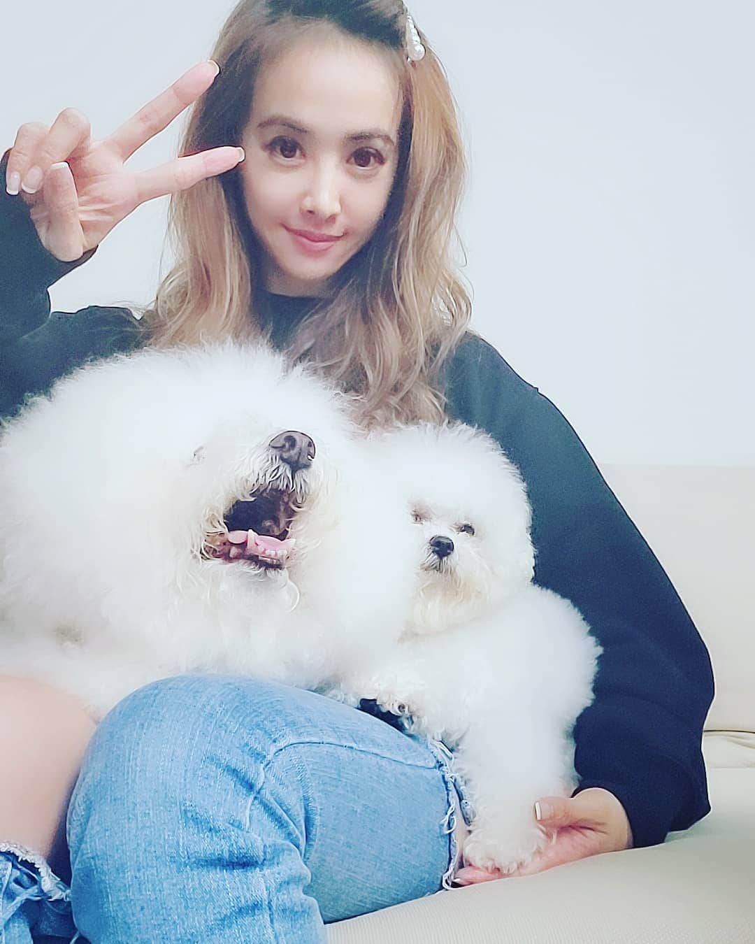 ジョリン・ツァイのインスタグラム：「有層雲朵飄來了  兩皮  @bichon_whoohoo 也仙化了」