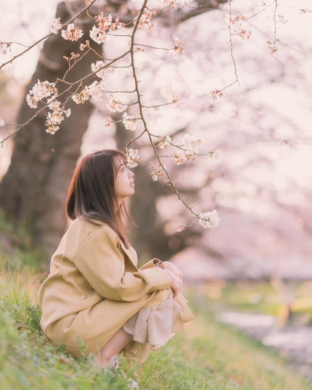 mikicoco00のインスタグラム：「* * さくら🌸夕暮れ時❁⃘*.ﾟ * 5分咲きぐらいだったけど、綺麗だった🥺 さくら見ると心潤う〜♡ * * * #さくら#ごぶざき  #桜#綺麗#春#東京 #Tokyo#sakura  #beautiful #spring」