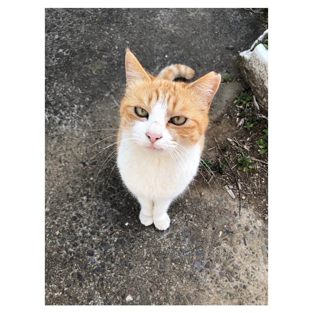 國分優香里のインスタグラム