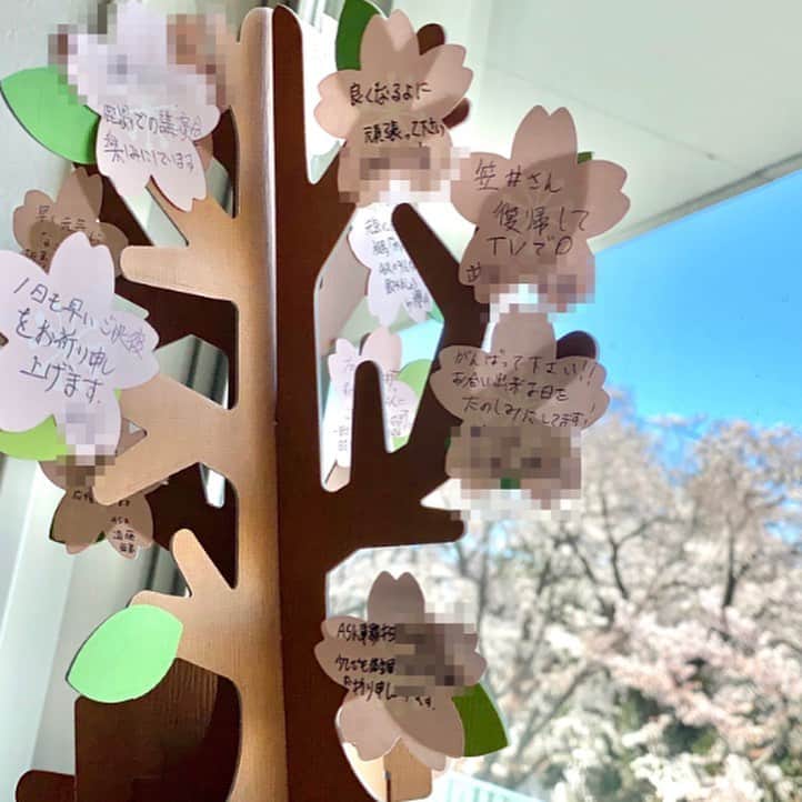 笠井信輔さんのインスタグラム写真 - (笠井信輔Instagram)「桜の満開の時期に、うれしい届け物です。  福島県南相馬で農業をがんばっているASKと言う団体の仲間たちから、桜満開の寄せ書きが届きました。  窓から見える満開の桜に暖かな大木イッポンが加わりました。  みんなありがとね。 治ったらまた遊びに行きます。」3月25日 12時23分 - shinsuke.kasai