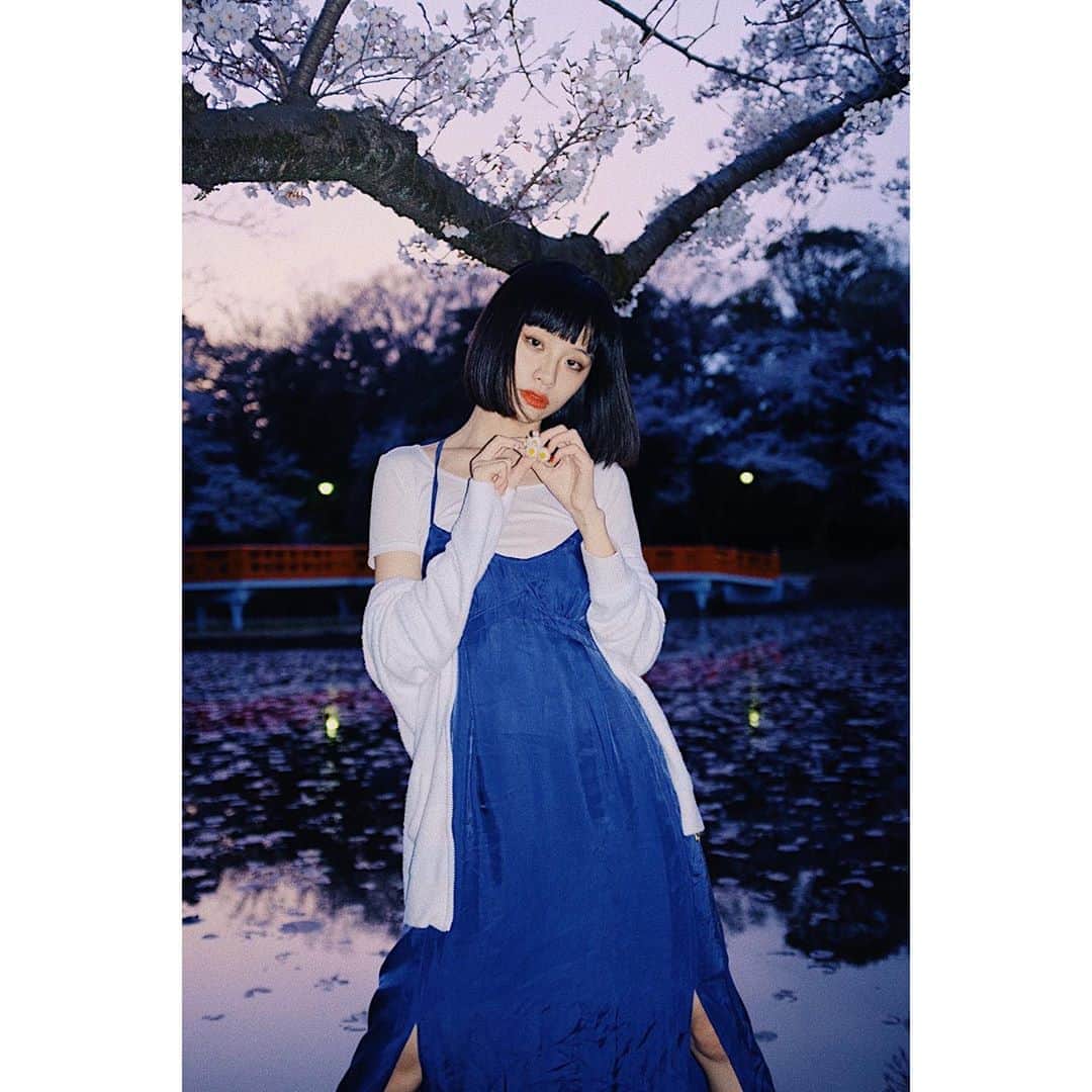 る鹿さんのインスタグラム写真 - (る鹿Instagram)「今年も 桜 綺麗 🌸」3月25日 12時26分 - luluxinggg