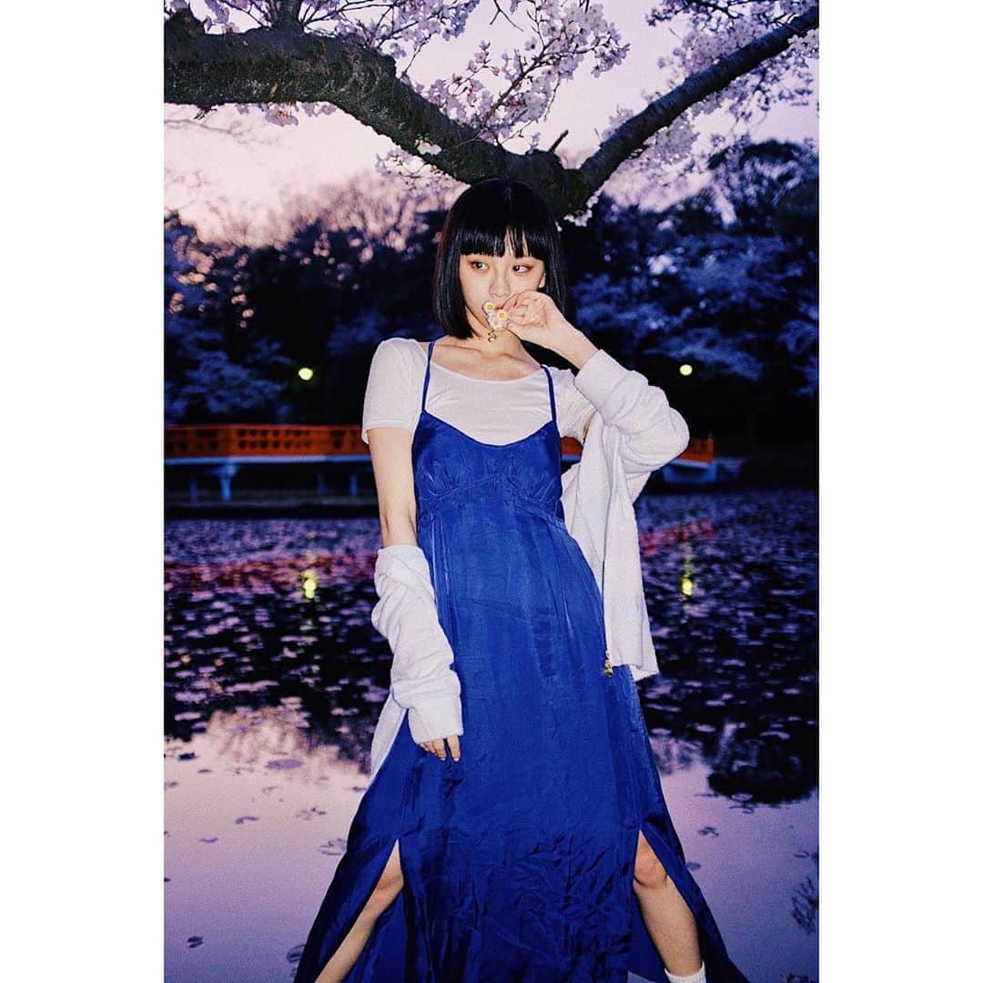 る鹿さんのインスタグラム写真 - (る鹿Instagram)「今年も 桜 綺麗 🌸」3月25日 12時26分 - luluxinggg