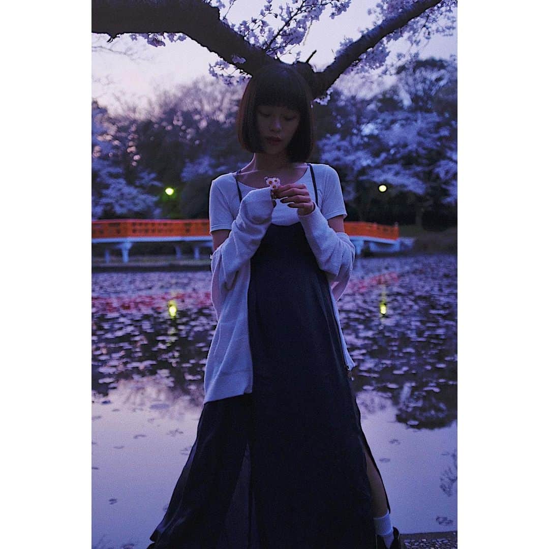 る鹿さんのインスタグラム写真 - (る鹿Instagram)「素敵な公園 散った桜の花びらが川面にたまって とても 切なくて 綺麗 🌸」3月25日 12時27分 - luluxinggg