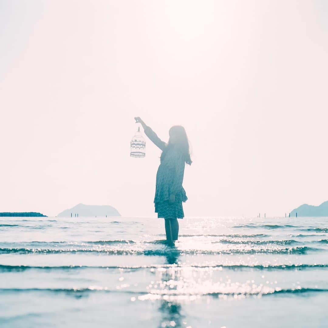 haraoのインスタグラム：「囚われの君 - - -  #hasselblad #500cm #portra400 #120mm #filmphotography #hasselblad_diary . #indies_gram #GPW_members_only  #as_archive #hueart_life #ig_phos #indy_photolife #screen_archive #Rox_Captures #jp_mood #team_jp_ #IGersJP #RECO_ig #Lovers_Nippon_Portrait #art_of_japan_ #japan_daytime_view #daily_photo_jpn #bestjapanpics #tokyocameraclub #film_com #jp_portrait部 #filmfeed #analogphotography #スクリーンに恋して #被写体募集」