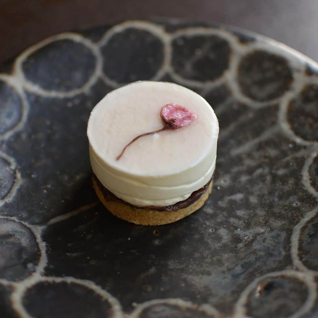 vegecafe＋αさんのインスタグラム写真 - (vegecafe＋αInstagram)「Cherry rare cheesecake. Released in april only. Spring flavored japanese style rare cheesecake made with double cherry blossoms from Nagano Prefecture.  桜のレアチーズケーキ🌸 4月だけのケーキになります❤️ 長野県産の八重桜を使った春薫る和風のレアチーズケーキ😍✨ 本日から発売です🎶  #vegecafe #ベジカフェ #桜ケーキ #桜 #桜レアチーズケーキ #レアチーズケーキ #西中島カフェ #新大阪カフェ #南方カフェ #大阪カフェ #大阪コーヒー #ベジタリアン」3月25日 13時06分 - vegecafe_plus_a
