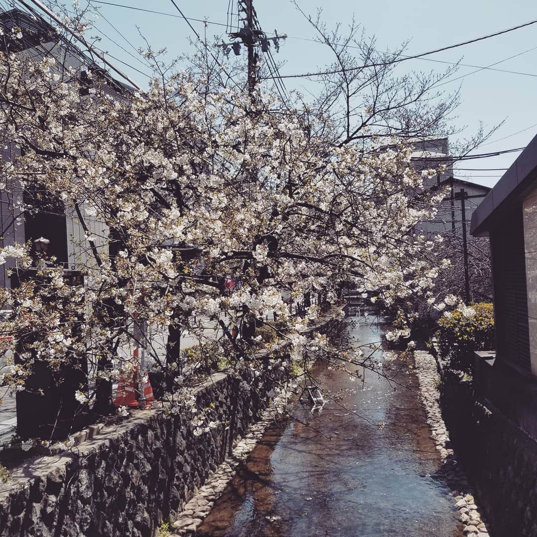 谷口キヨコのグルメインスタ