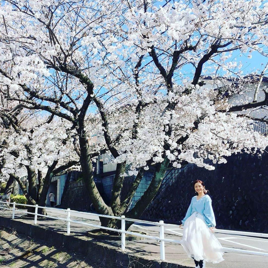 安枝瞳さんのインスタグラム写真 - (安枝瞳Instagram)「. 桜めっちゃキレイだった😍🌸 今年は少し開花が早くて 個人的に誕生日に桜が咲いてたとても印象的な年になりそう😊 楽しい撮影お疲れ様でした🙆‍♀️ #出来上がり楽しみにしててね #桜」3月25日 14時01分 - hitomiyasueda