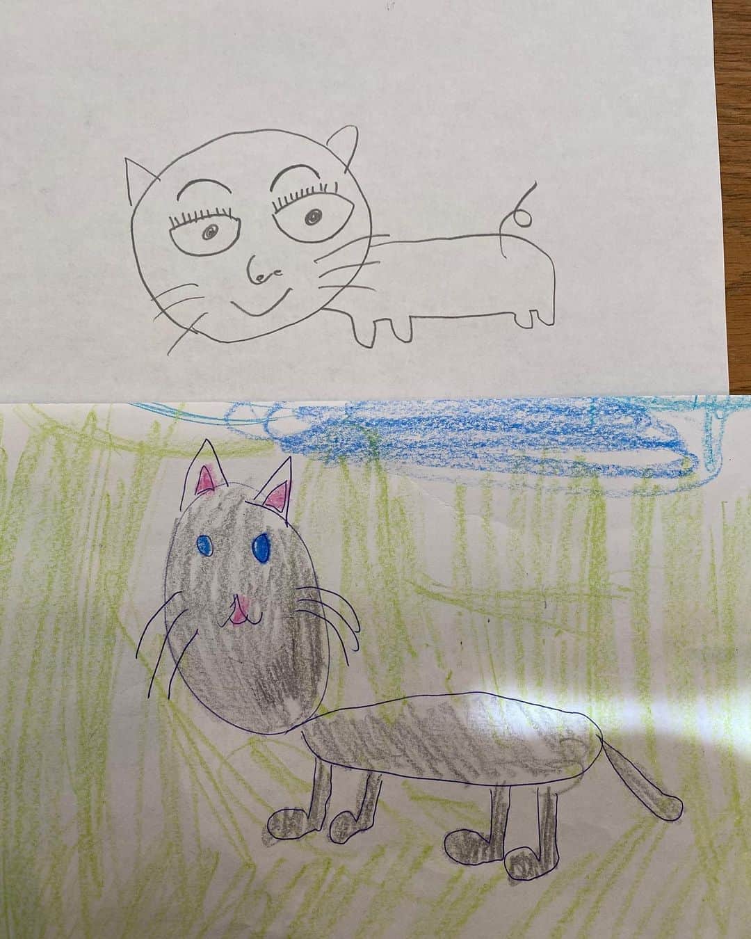 前田健太さんのインスタグラム写真 - (前田健太Instagram)「娘とお絵描き対決！ お題は「猫」🐈 上と下どっちがうまいですか？笑 まず僕の絵がどっちかはわかりますよね？🤣 #お絵描き #対決 #どっちがうまい？ #猫 #俺の絵はどっちでしょう」3月25日 14時11分 - 18_maeken