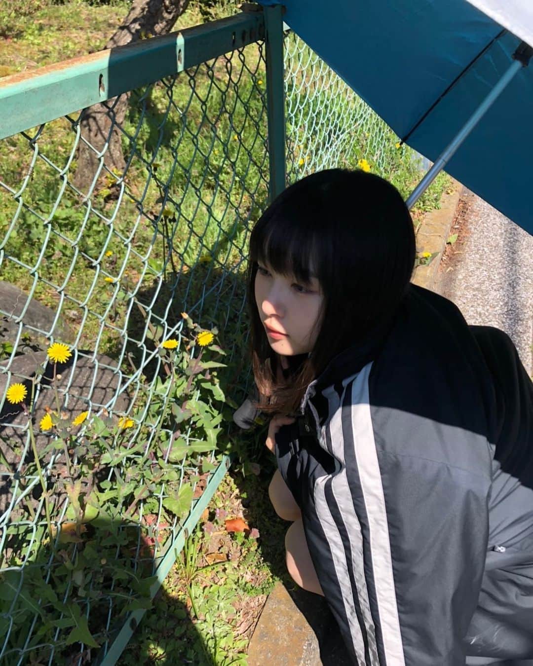 桜井日奈子さんのインスタグラム写真 - (桜井日奈子Instagram)「撮影してます☺️ たんぽぽっぽ🌼  #マイルノビッチ #huluオリジナル #たんぽぽ #春ですね #花粉症の皆さん頑張りましょう #私は花粉症ではないです #😬」3月25日 14時16分 - sakurai.hinako_official