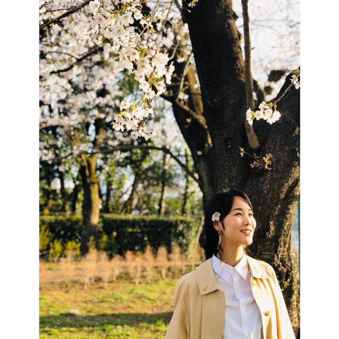 花柳まり草さんのインスタグラム写真 - (花柳まり草Instagram)「2020.3 うっひゃひゃひゃひゃひゃー🌸  桜大好きです。  ついつい、仕事の合間や用事のついでに寄り道をしてしまいます。  いつもフラフラしているわけではないのですが、ついつい桜に引き寄せられてしまいます。  心から楽しめるような時節ではないのはよく分かっているのですが、かえらぬ春を愛でたくなる気持ちは抑えようがなく。  仕事がたくさんキャンセルになりましたが、それでも前を向いて歩みを止めるわけにも行きません。  久しぶりに「悔しい」と涙することもありました。 こんなこと、いつぶりだろう。  なくなってみて、改めて、沢山の《アタリマエ》のありがたさに気づかされる日々です。  #桜 大好き #sakura #🌸 #日本舞踊家 #日本舞踊  #舞台 #芸術 #習い事 #踊り  #着物 #kimono #宝塚 #宝塚歌劇団 #宝塚og #花柳まり草 #me  #art #art_of_japan #dance #japanesedance #japanesedancer #kimono #fashion #takarazuka #love #marikusahanayagi」3月25日 14時58分 - marikusa.hanayagi