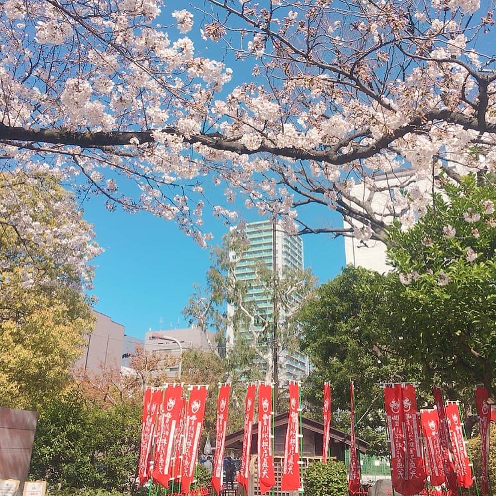田上よしえさんのインスタグラム写真 - (田上よしえInstagram)「都会のソロ花見🌸 #桜を一人で見る会 #JAPAN」3月25日 14時52分 - tanoueyoshie