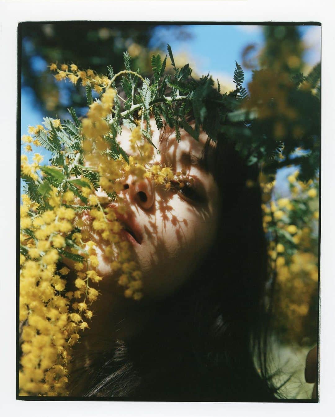 のインスタグラム：「🌼」