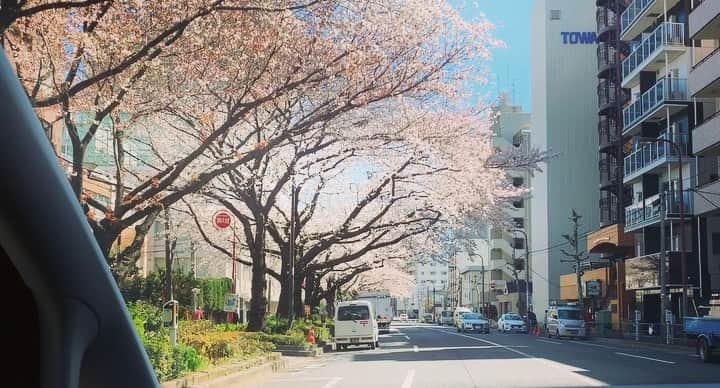 氷浦紫のインスタグラム
