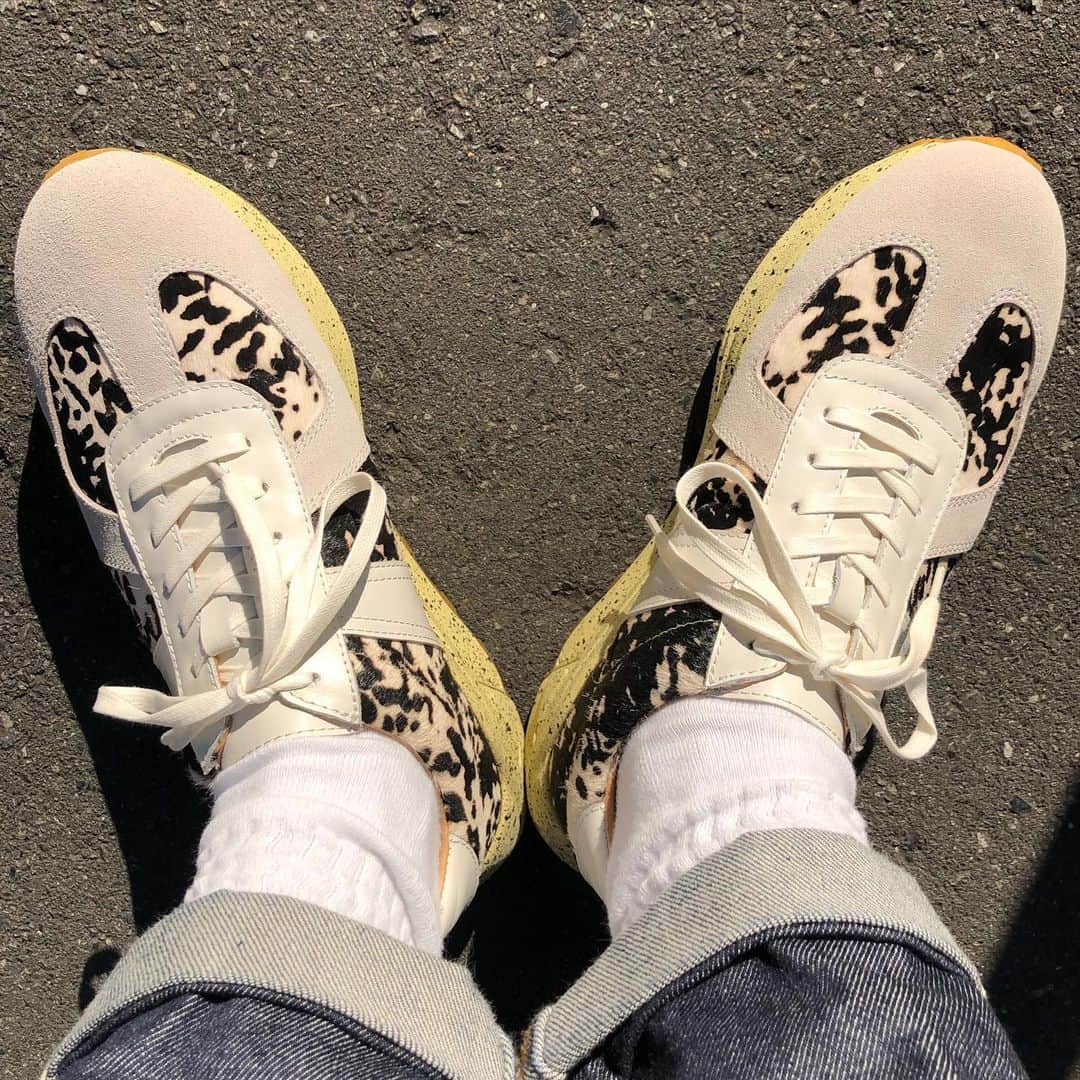 シーサーのインスタグラム