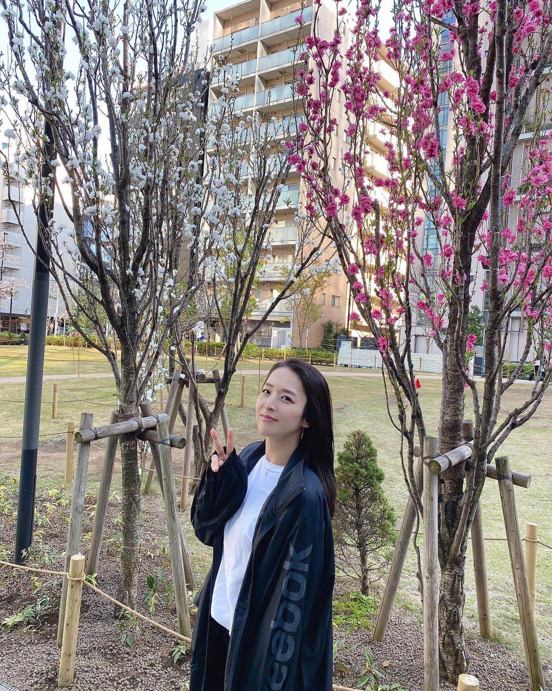 本間愛花のインスタグラム